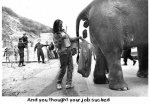 quitcomplainingaboutyourjob.jpg