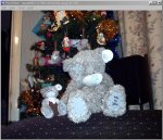 xmas1_smaller.jpg