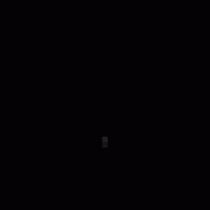bl1