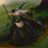 Boondi
